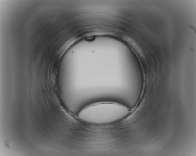 X0000096731185200802051121