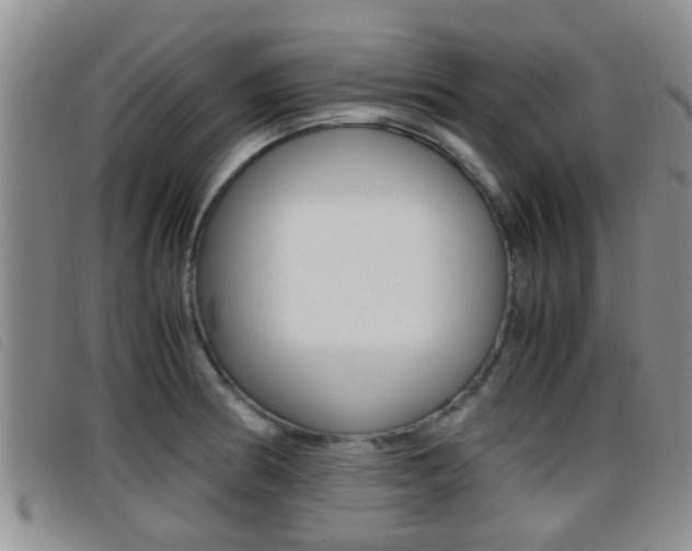 X0000096731186200802051121