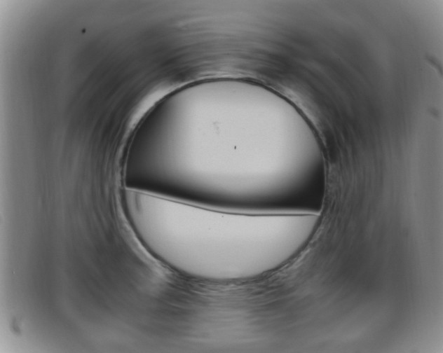 X0000096731187200802051121