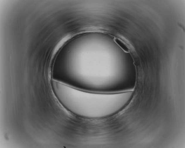 X0000096731188200802051121