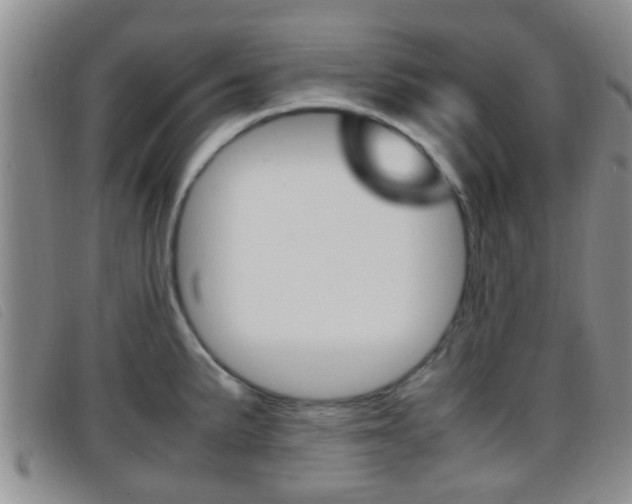 X0000096731191200802051121