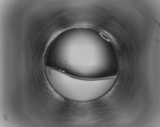 X0000096731192200802051121