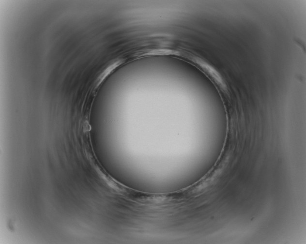 X0000096731193200802051121