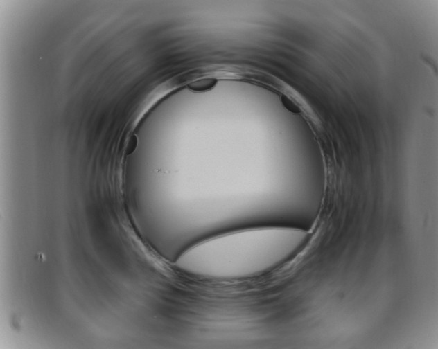 X0000096731194200802051121