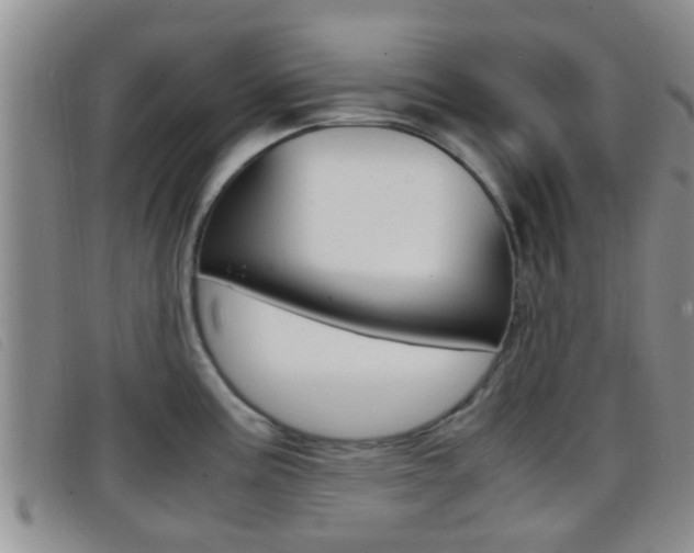 X0000096731195200802051121