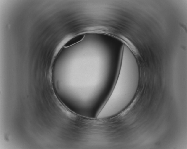X0000096731196200802051121