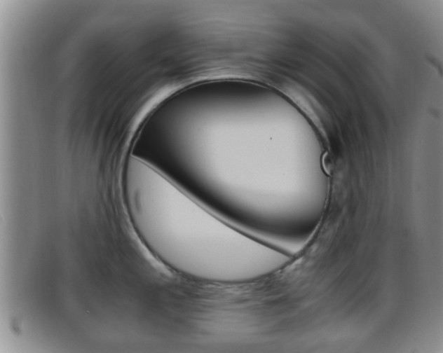 X0000096731197200802051121