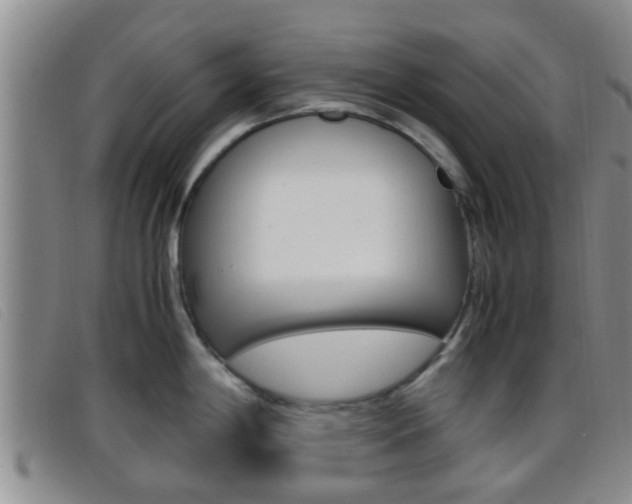 X0000096731198200802051121