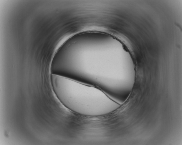 X0000096731199200802051121