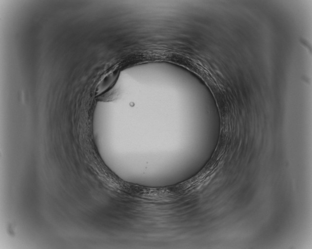 X0000096731201200802051120