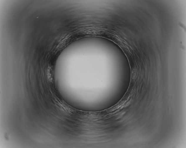 X0000096731202200802051120