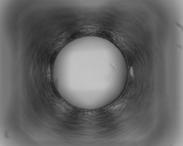X0000096731203200802051120