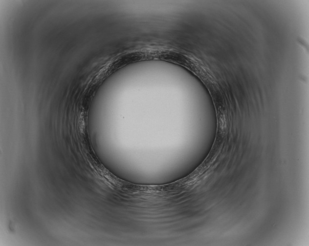 X0000096731204200802051120