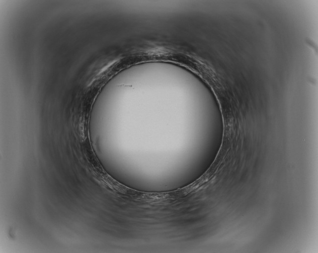 X0000096731205200802051120