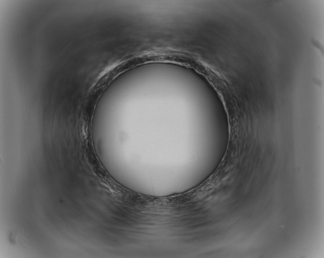 X0000096731206200802051120