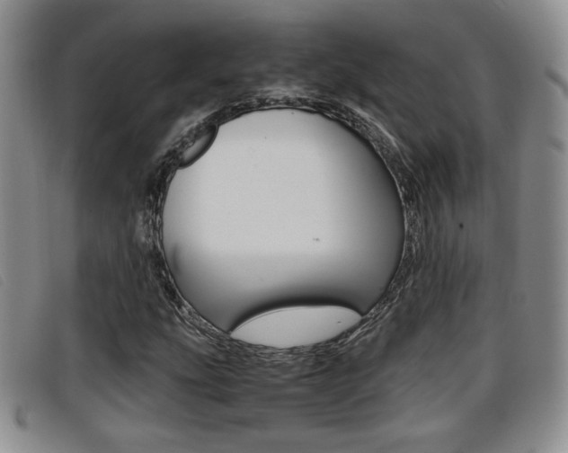 X0000096731207200802051120