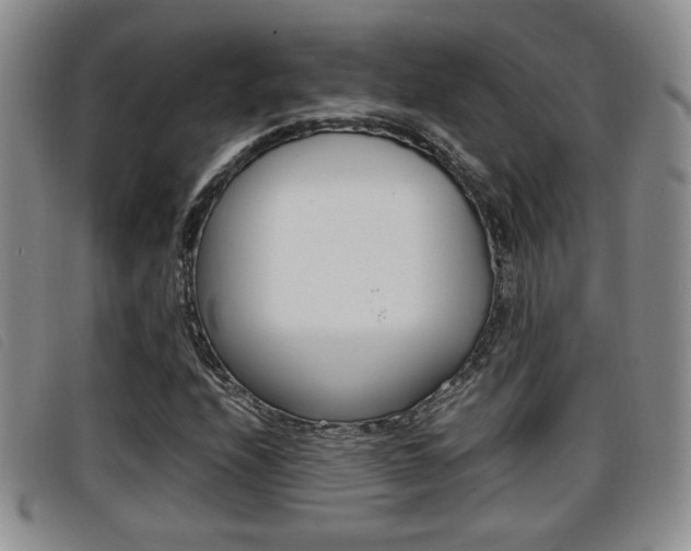 X0000096731208200802051120