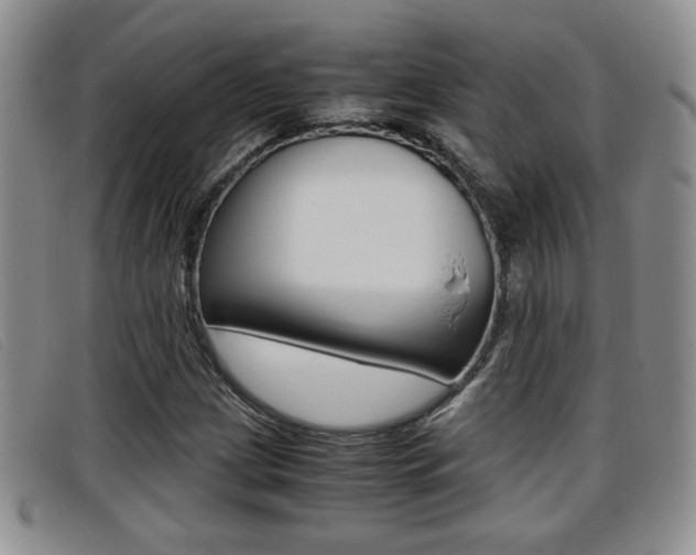 X0000096731209200802051120