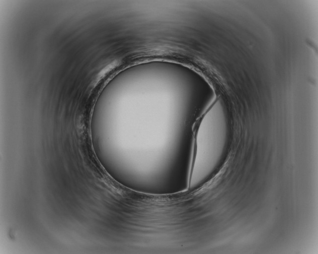X0000096731210200802051120