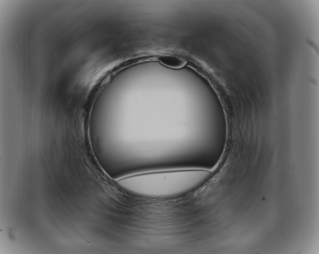 X0000096731214200802051120