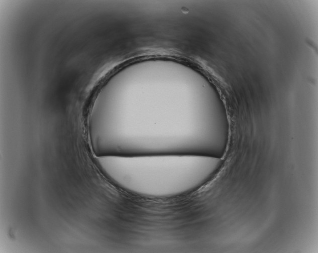 X0000096731215200802051120