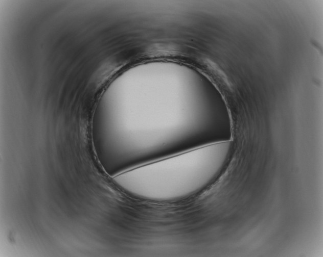 X0000096731217200802051120