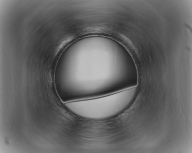 X0000096731218200802051120