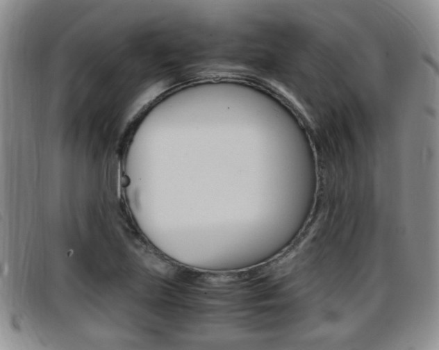 X0000096731219200802051121