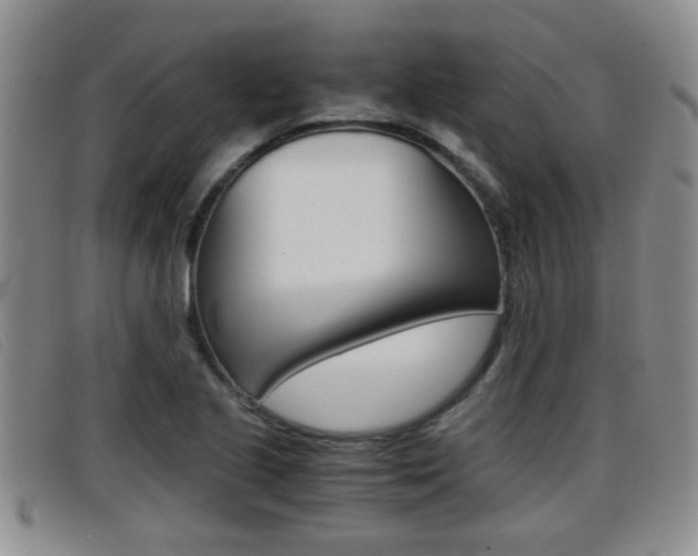 X0000096731221200802051121