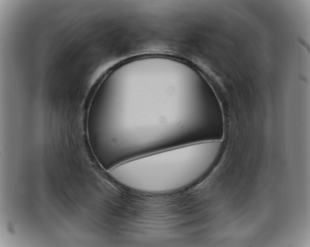 X0000096731222200802051121
