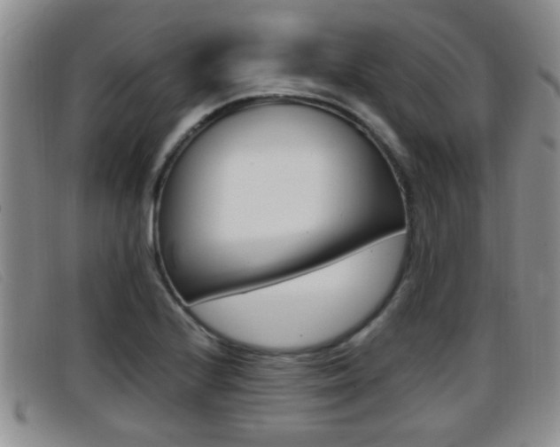 X0000096731224200802051121