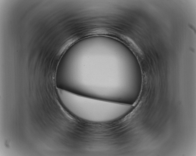 X0000096731225200802051121
