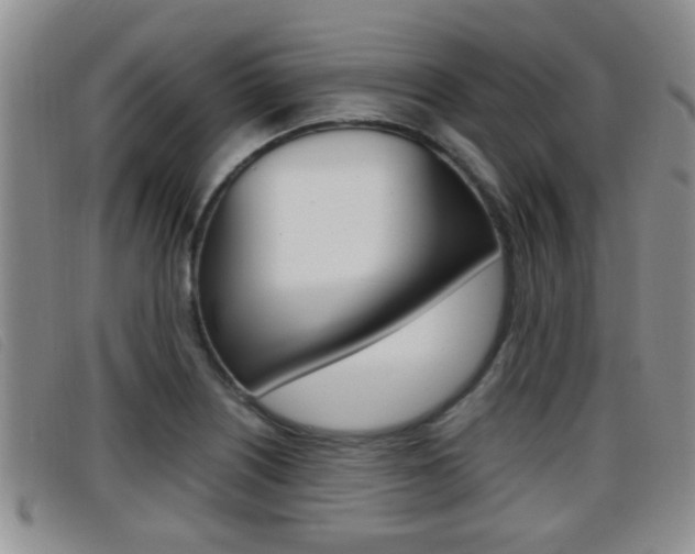 X0000096731226200802051121