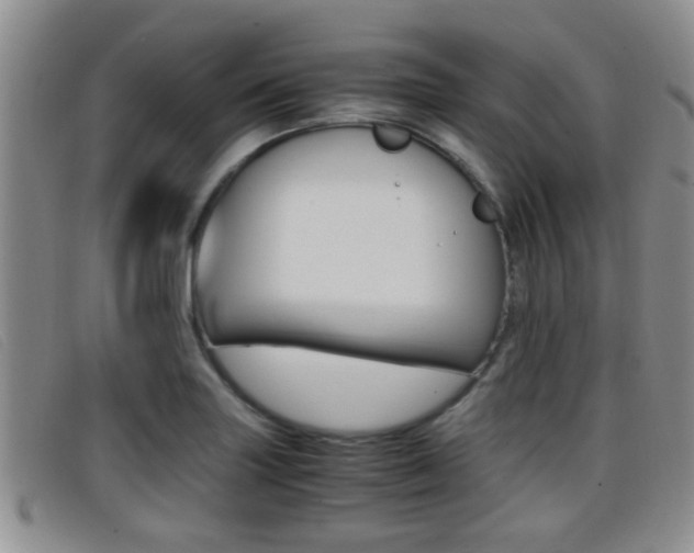 X0000096731227200802051121