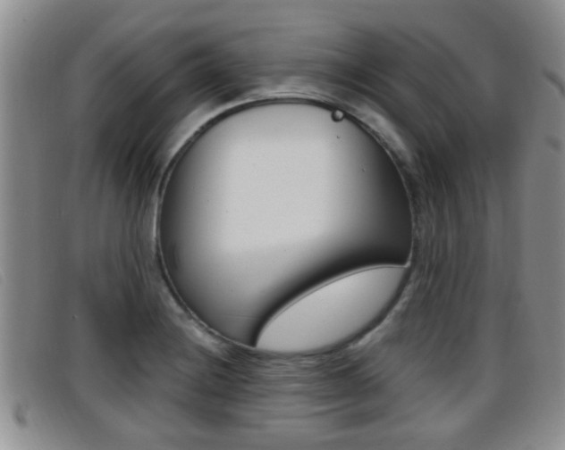 X0000096731228200802051121