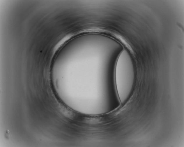 X0000096731229200802051121