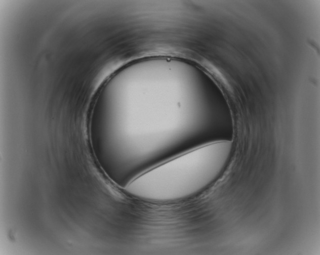 X0000096731230200802051121