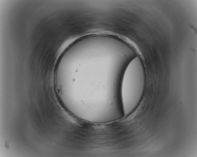 X0000096731231200802051121
