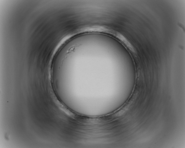 X0000096731232200802051121