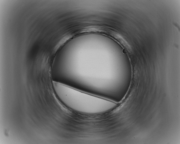 X0000096731233200802051121