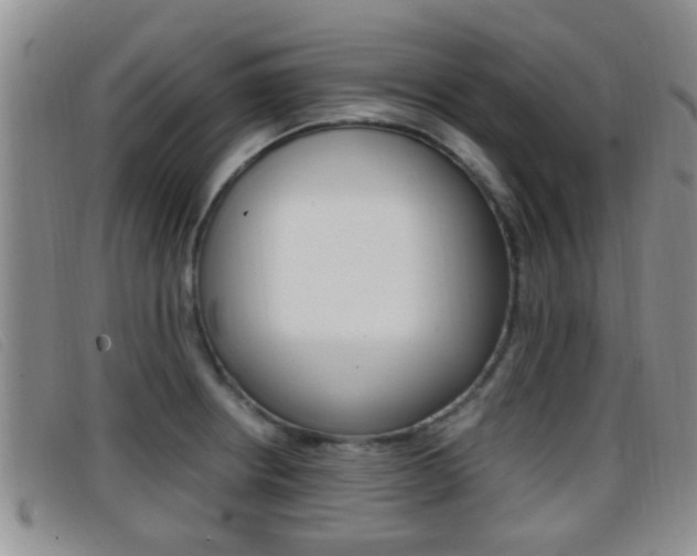 X0000096731234200802051121