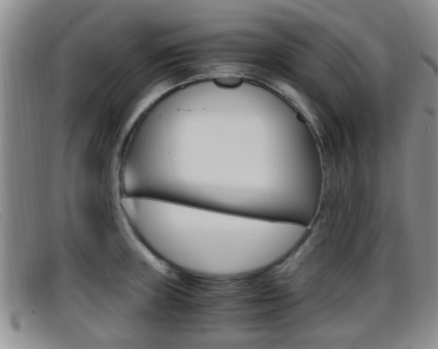 X0000096731235200802051121