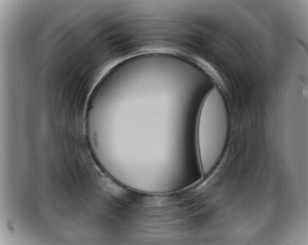 X0000096731236200802051121