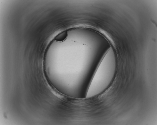 X0000096731237200802051121