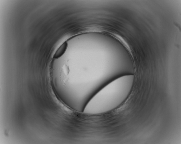 X0000096731243200802051121