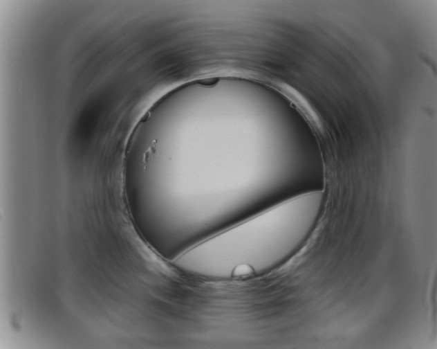 X0000096731244200802051121