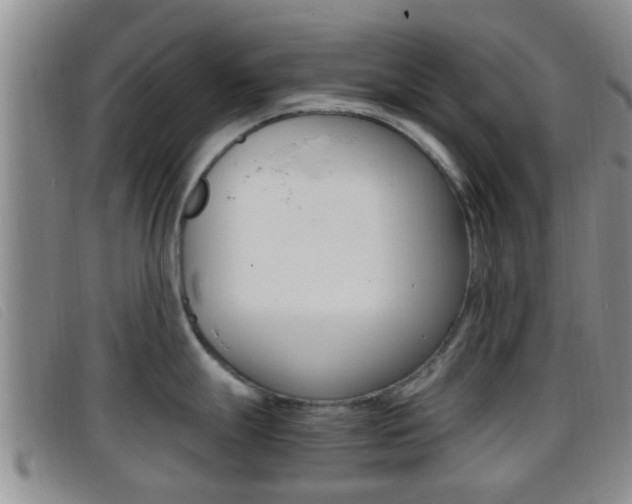 X0000096731247200802051121