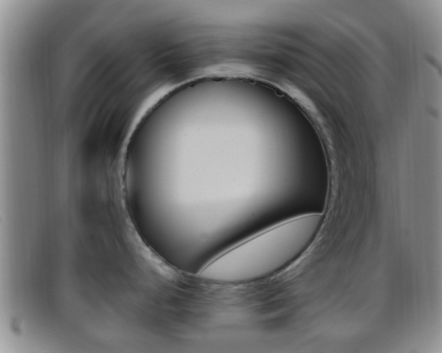 X0000096731248200802051121