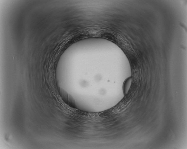X0000096731249200802051120