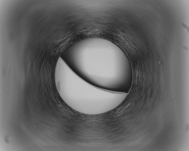 X0000096731250200802051120